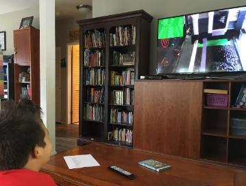 Kainalu Palaualelo, home school student in Hawaii image link to story