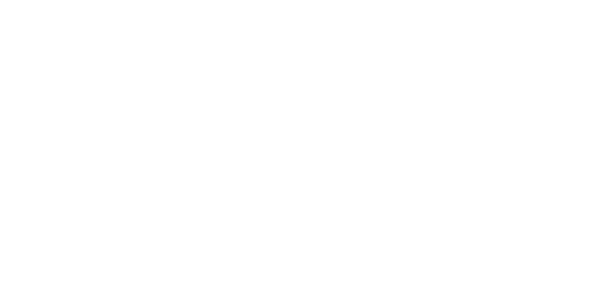Foundational Commitments