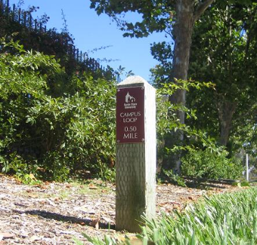 one of the campus loop markers